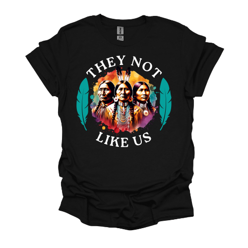 They Not Like Us Native American T-shirt *Custom made to order*